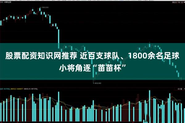 股票配资知识网推荐 近百支球队、1800余名足球小将角逐“苗苗杯”